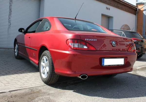 Fox Auspuff Sportauspuff Komplettanlage für Peugeot 406 Limo/ Coupe 1